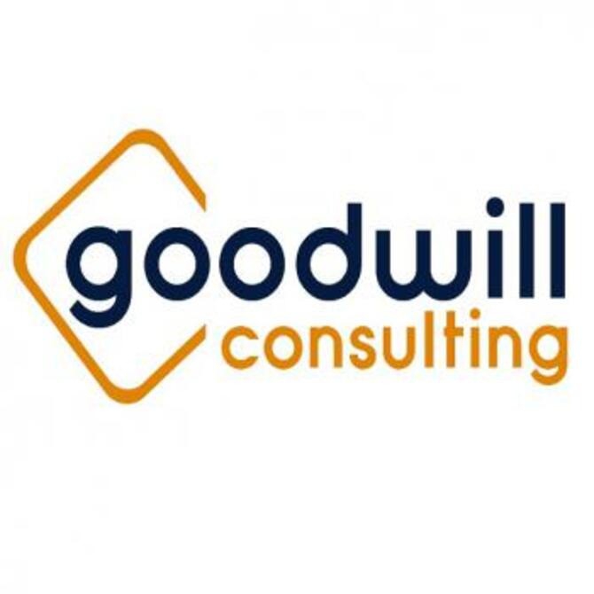 GoodWill Consulting Pályázati Tanácsadó Kft.